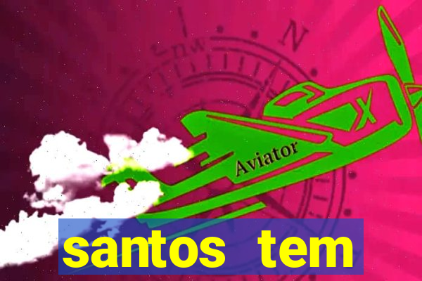 santos tem aeroporto comercial