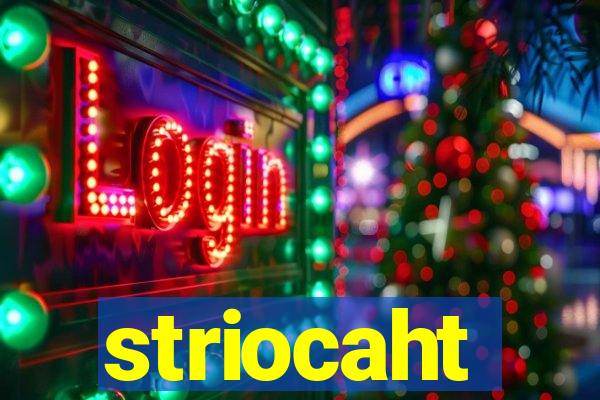 striocaht