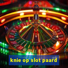 knie op slot paard