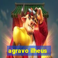 agravo ilheus