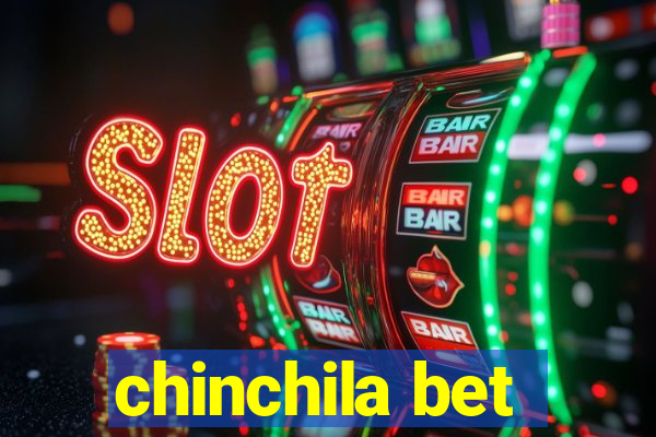 chinchila bet