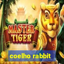 coelho rabbit