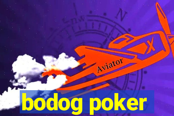 bodog poker