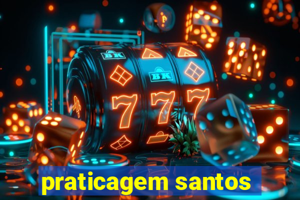 praticagem santos