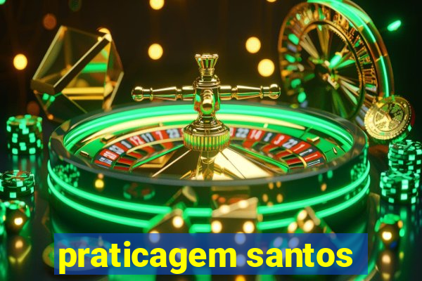 praticagem santos