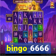 bingo 6666