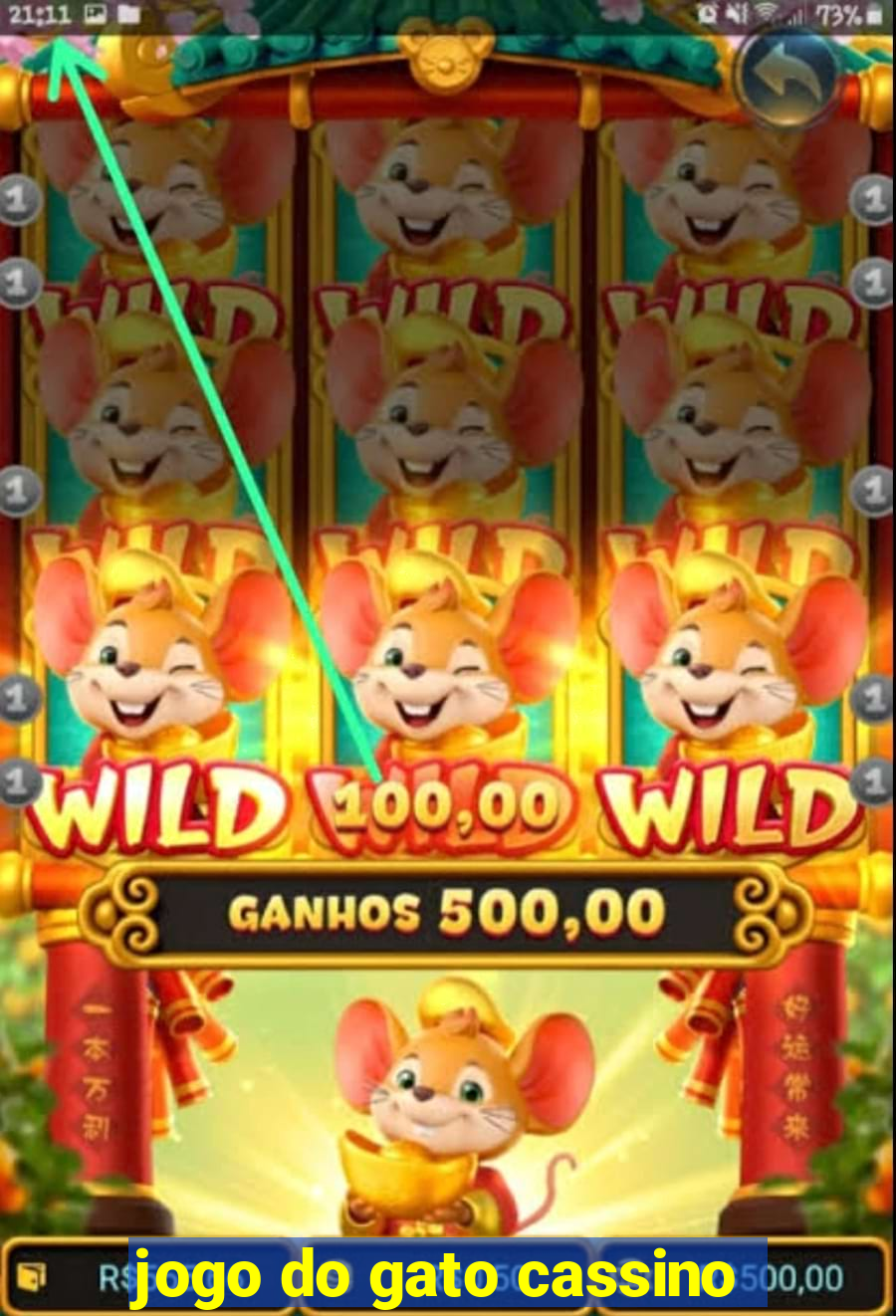 jogo do gato cassino