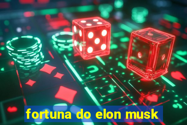 fortuna do elon musk