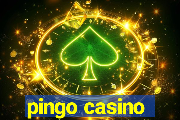 pingo casino