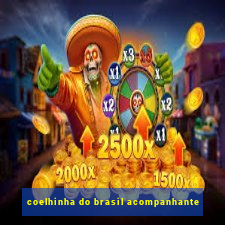 coelhinha do brasil acompanhante