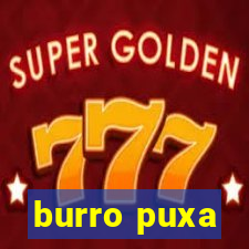 burro puxa