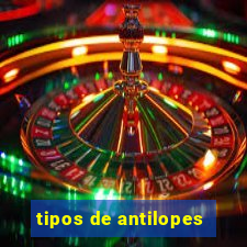 tipos de antilopes