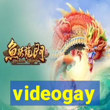 videogay