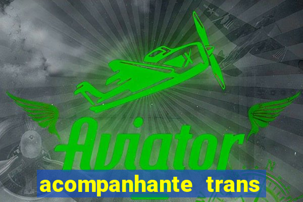 acompanhante trans porto seguro