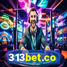 313bet.co