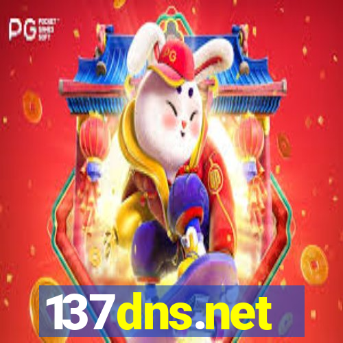 137dns.net