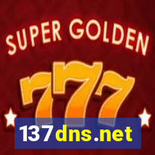 137dns.net