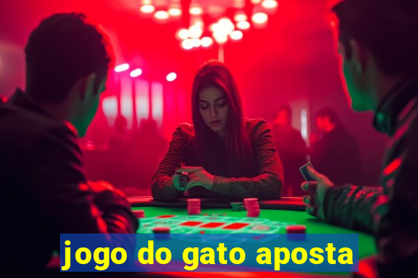 jogo do gato aposta