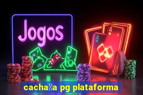 cacha莽a pg plataforma