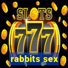 rabbits sex