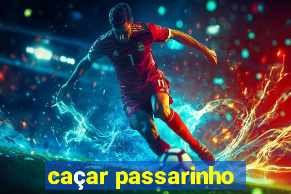 caçar passarinho