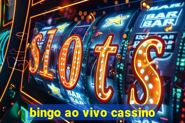 bingo ao vivo cassino