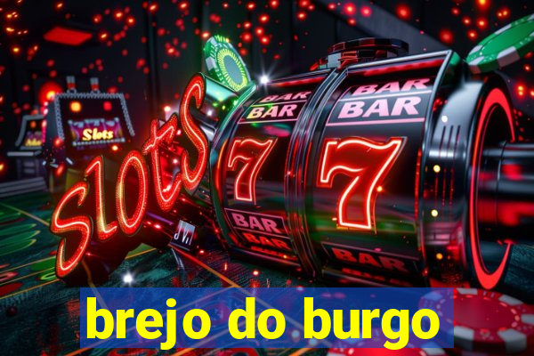 brejo do burgo