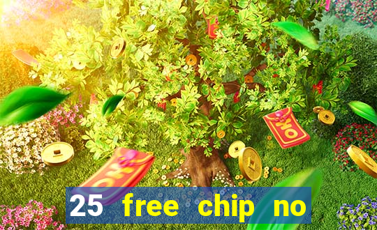 25 free chip no deposit pure casino