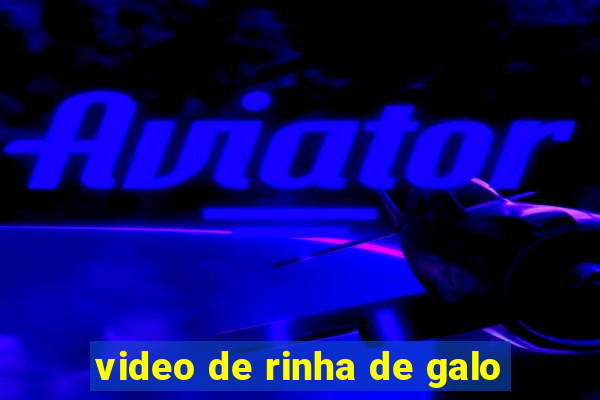 video de rinha de galo