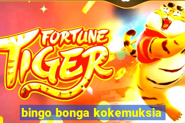 bingo bonga kokemuksia