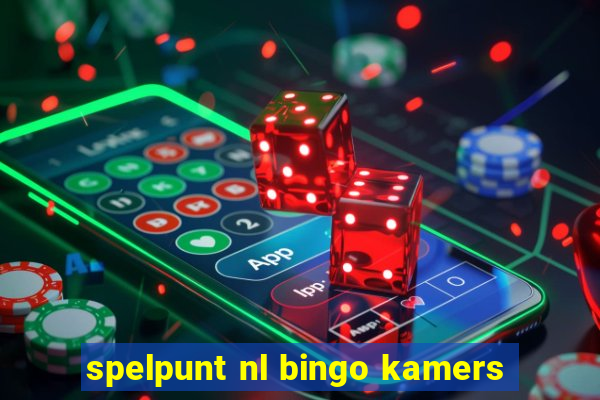 spelpunt nl bingo kamers