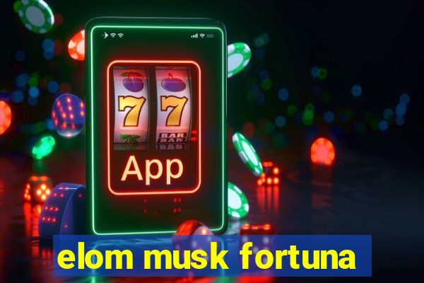 elom musk fortuna