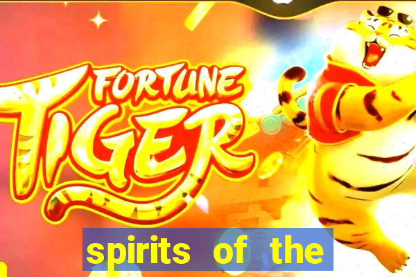 spirits of the storm slot free