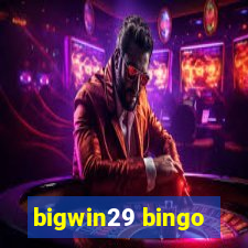 bigwin29 bingo