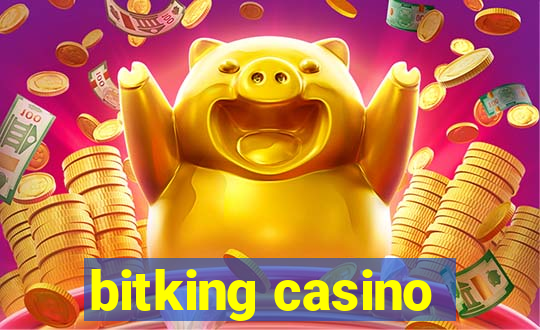 bitking casino