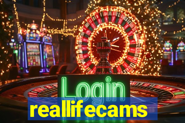 reallifecams