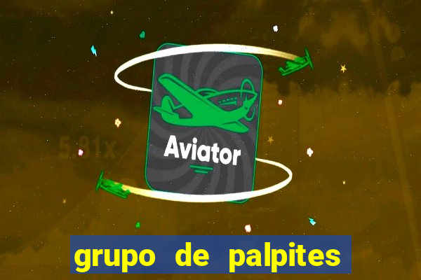 grupo de palpites de futebol telegram