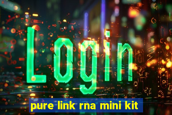 pure link rna mini kit