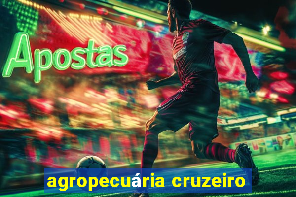 agropecuária cruzeiro