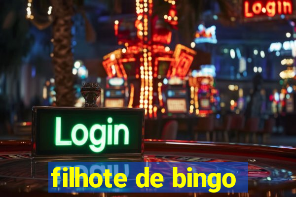 filhote de bingo