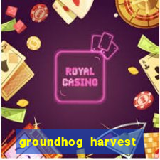 groundhog harvest pg slot