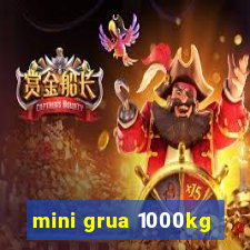 mini grua 1000kg