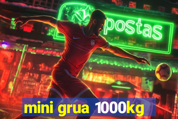 mini grua 1000kg