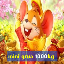 mini grua 1000kg