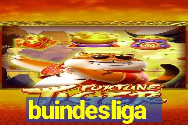 buindesliga