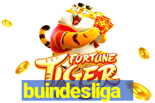 buindesliga