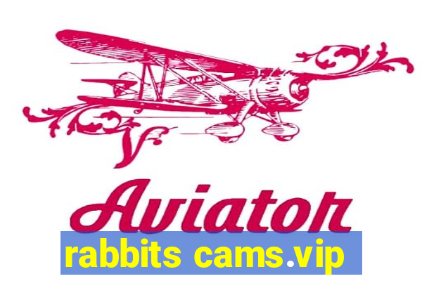 rabbits cams.vip