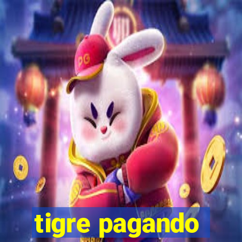 tigre pagando