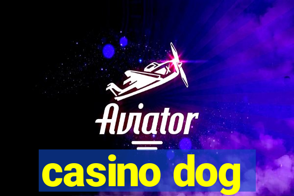 casino dog