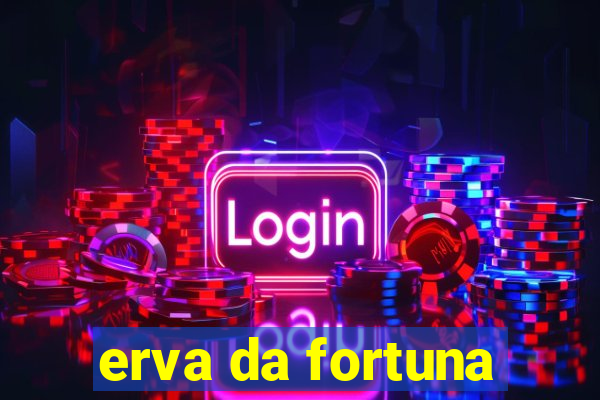 erva da fortuna